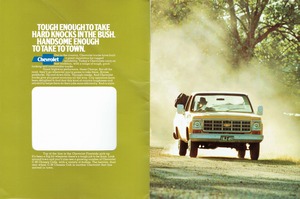 1978 Chevrolet Light Trucks (Aus)-02-03.jpg